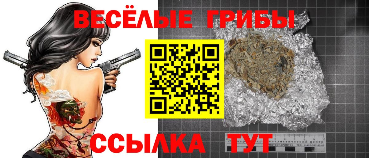 Псилоцибиновые грибы GOLDEN TEACHER Джанкой