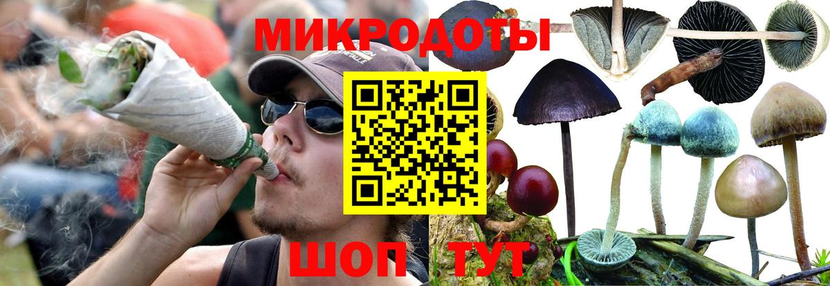 Джанкой  даркнет сайт  Вход с VPN  Галлюциногенные грибы Psilocybe  Псилоцибиновые грибы Cubensis 